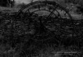 /album/pbs/pic-149-jpg/