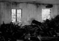 /album/pbs/pic-146-jpg/